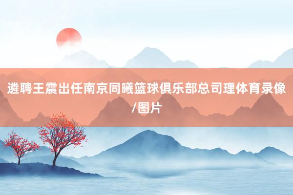 遴聘王震出任南京同曦篮球俱乐部总司理体育录像/图片
